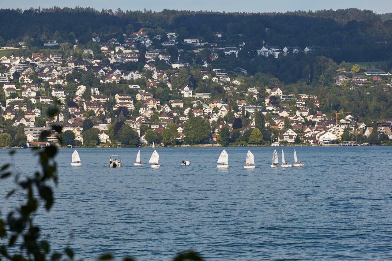 Alex Zuerich Hotel Thalwil